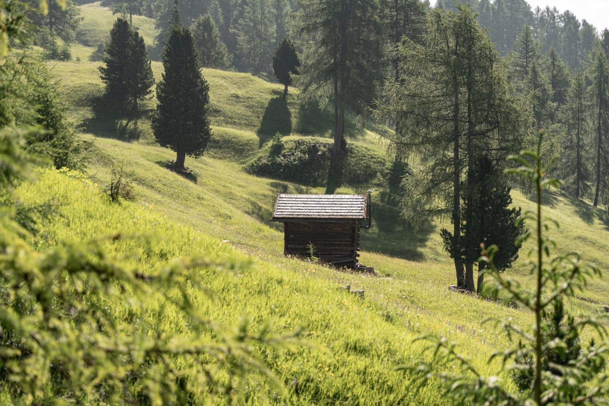 Ciasa Iachin - Dolomites Dream Retreat Apartment San Martino in Badia Exterior photo
