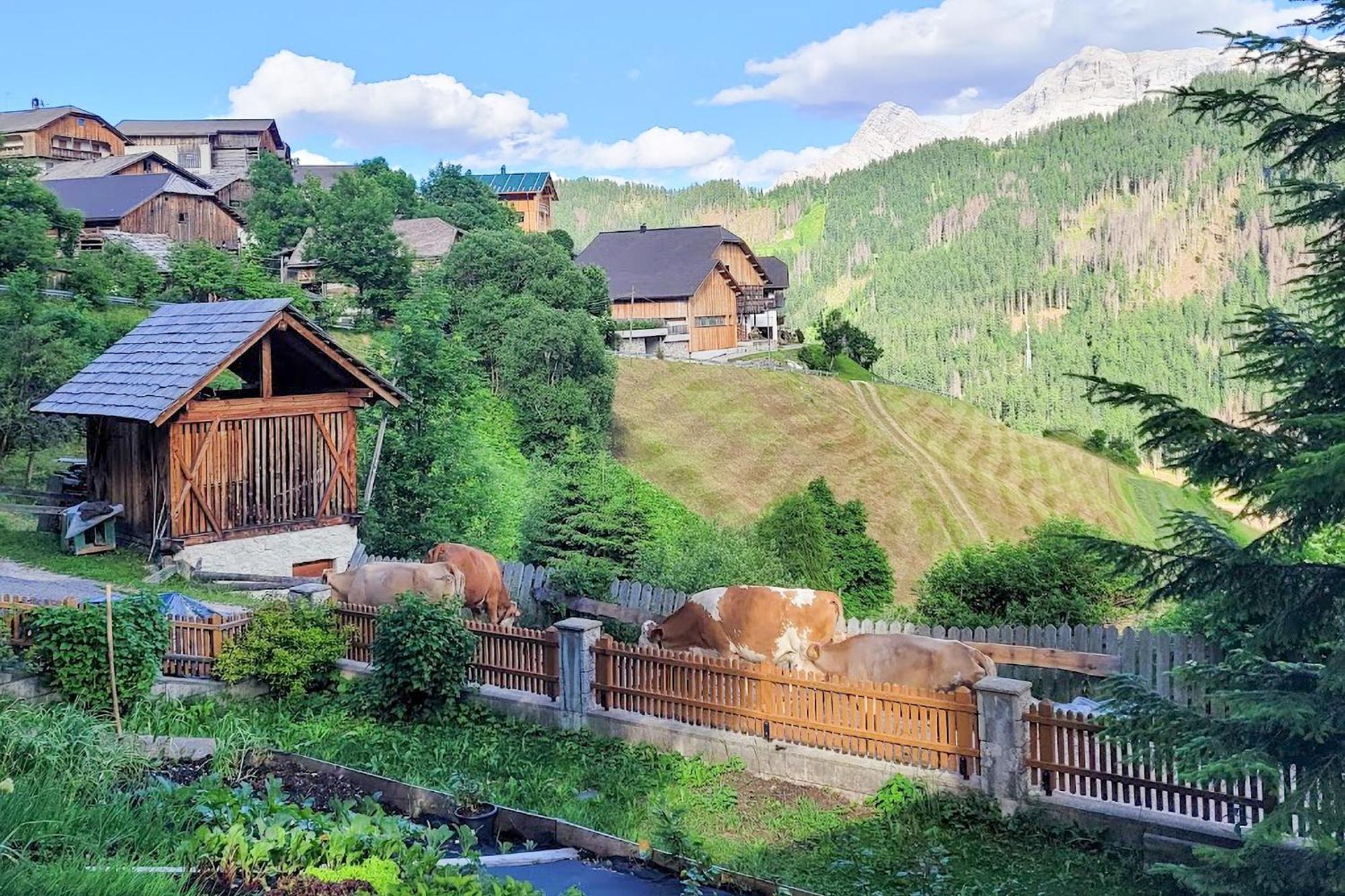 Ciasa Iachin - Dolomites Dream Retreat Apartment San Martino in Badia Exterior photo