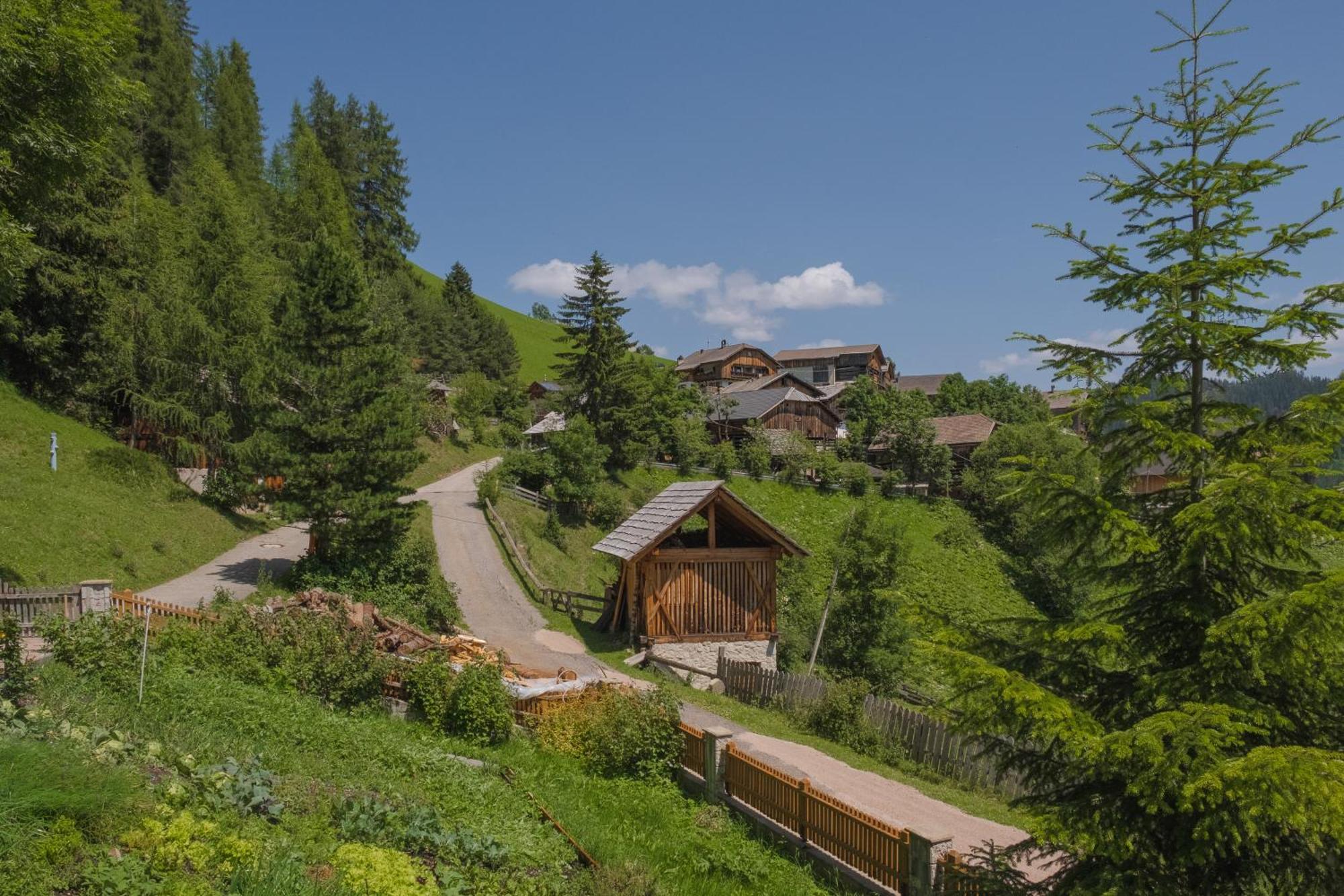 Ciasa Iachin - Dolomites Dream Retreat Apartment San Martino in Badia Exterior photo
